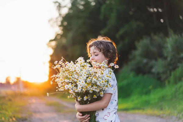 Cute Smiling Boy Camomile Field Sunset Soft Sunlight Life Allergies — Stock Fotó