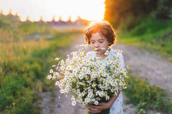 Cute Smiling Boy Camomile Field Sunset Soft Sunlight Life Allergies — Stock Fotó