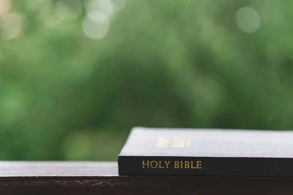 Sacra Bibbia Leggo Bibbia Concetto Fede Spiritualità Religione — Foto Stock