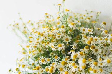 Beyaz bir masada beyaz bir vazoda bir buket papatya, büyükannelerin doğum günü için çiçekler, kadınlar için, beyaz bir iç mekanda çiçekler.