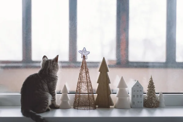 窓の近くの窓辺に座っているスコットランド人のかわいい子猫 装飾的なクリスマスツリーと居心地の良い家 いい家だ 冬の休日の生活 — ストック写真