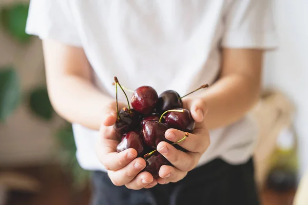 Fresh Juicy Berries Cherries Hands Organic Eco Product Farm Non — Foto de Stock