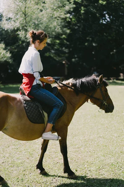 Beautiful Woman Rides Horse Woman Riding Horse Horse Riding Training — 图库照片
