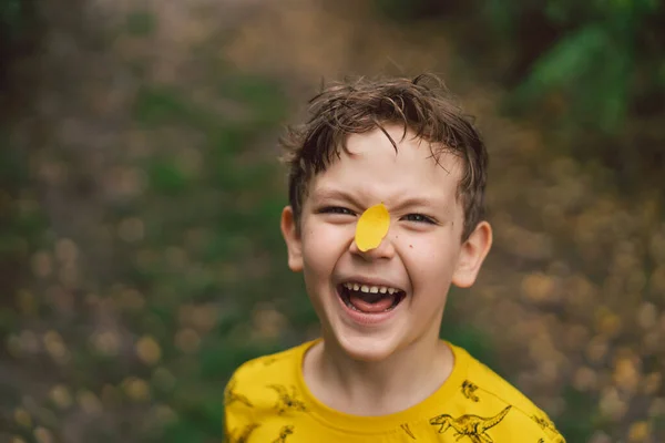 Portrait Boy Yellow Leaf His Nose Happy Child Boy Laughing — Stockfoto