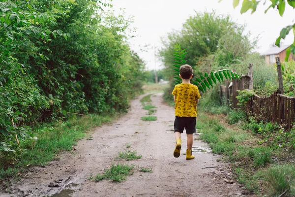 Six Year Old Boy Runs Green Leaves His Hands Countryside — Stock Fotó
