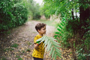 A six-year-old boy runs with green leaves in his hands in the countryside. Happy child boy laughing and playing in the summer day.