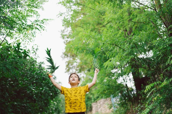 Six Year Old Boy Runs Green Leaves His Hands Countryside — Stock Fotó