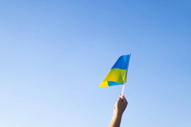Ukraines Independence Day. Ukrainian child boy in white t shirt with yellow and blue flag of Ukraine in field. Flag of Ukraine. Constitution day. Stand with Ukraine and Save