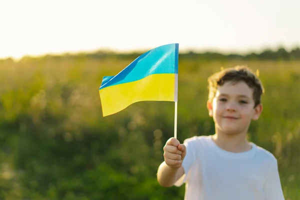 Ukraines Independence Day Ukrainian Child Boy White Shirt Yellow Blue — стокове фото