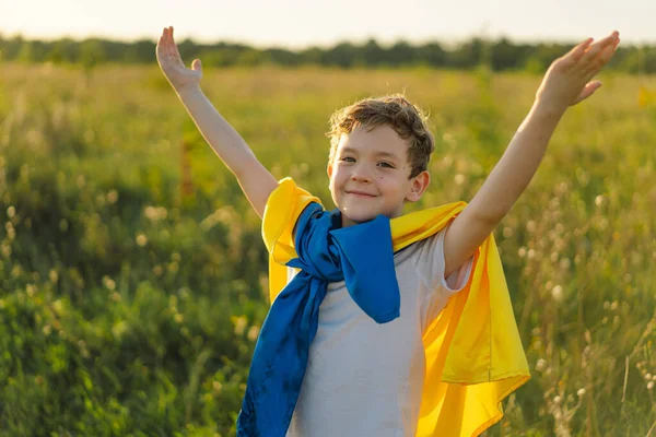 Ukraines Independence Day. Ukrainian child boy in white t shirt with yellow and blue flag of Ukraine in field. Flag of Ukraine. Constitution day. Stand with Ukraine and Save