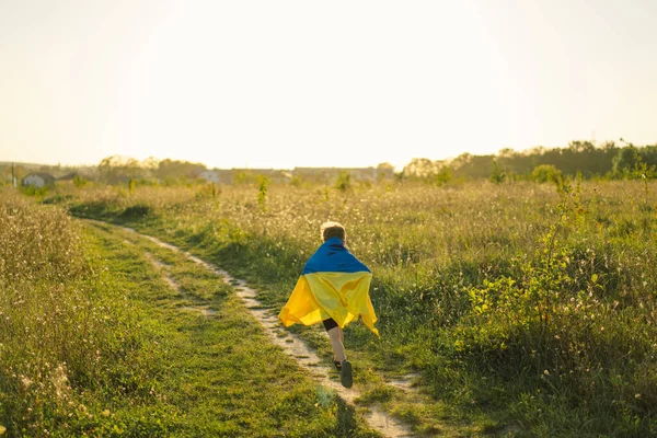 Ukraines Independence Day. Ukrainian child boy in white t shirt with yellow and blue flag of Ukraine in field. Flag of Ukraine. Constitution day. Stand with Ukraine and Save
