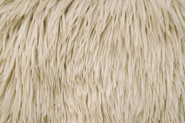 Sheep skin texture. Sheepskin Background. White wool texture background. Natural fluffy fur sheep wool skin texture. Beige color carpet.