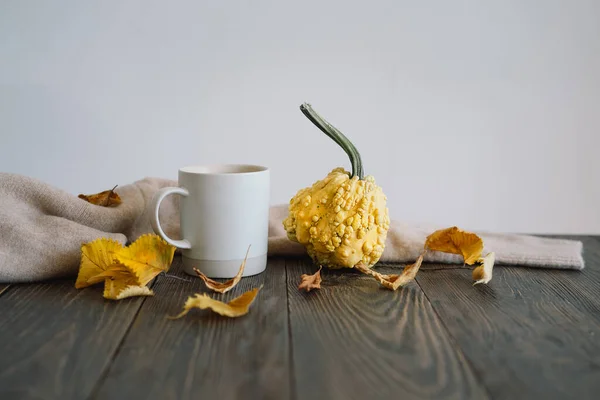 Flache Lage Von Zierkürbissen Getrockneten Blättern Accessoires Und Tee Mit — Stockfoto