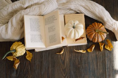 Sıcak sonbahar arka planı, dekoratif balkabağı, kurumuş çiçekler, kitaplar, sıcak kazaklar. Sonbahar günü kitap okumak. Sonbahar kitapları. Sonbahar okuması. Keyfim yerinde. Metin için boşluk, üst görünüm.