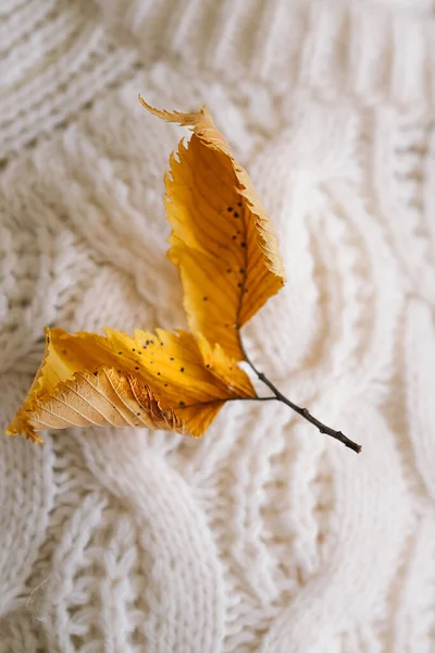 Background Warm Sweaters Pile Knitted Clothes Autumn Leaves Warm Background — Stock Photo, Image