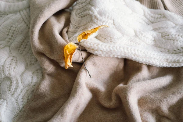 暖かいセーターとの背景 暖かい背景 ニットウェア 秋冬のコンセプトのテキストのためのスペースとニットの服の山 コピー スペース — ストック写真