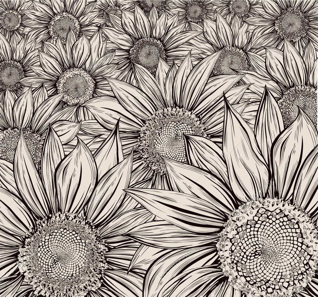 Sunflower field Stock Vector by ©ryger 12562302