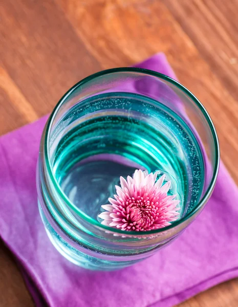 Pink flower — Stock Photo, Image