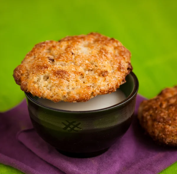 Fresh baked coconut macaroons — Stock Photo, Image