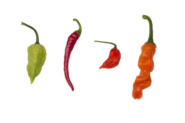 Four peppers isolated on white with clipping path — Stock Photo, Image