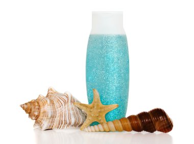 Seashells şişe zemin üzerine