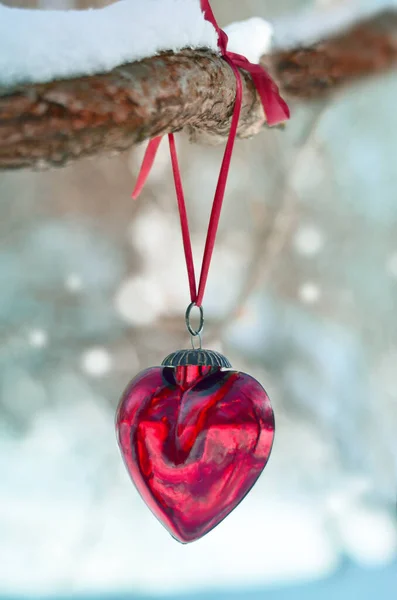 红心在雪树树枝上 快乐情人节庆典 爱心理念 — 图库照片