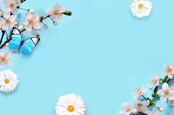 青い背景と蝶の上に花の枝や花弁 春のコンセプト — ストック写真