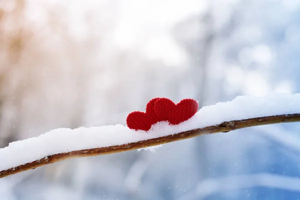 Красные Сердца Ветке Снежного Дерева Зимой Праздники Счастливого Дня Святого — стоковое фото