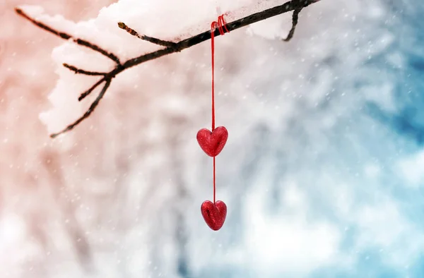 Röda Hjärtan Snöiga Trädgren Vintern Helgdagar Glad Alla Hjärtans Dag — Stockfoto