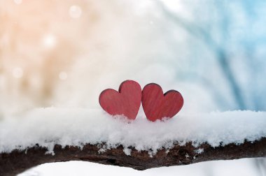 Kışın karlı ağaç dalı üzerinde kırmızı kalpler. Tatil. Mutlu Sevgililer günü kutlama. Kalp sevgi kavramı.