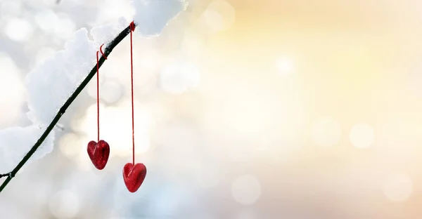 Czerwone Serca Gałęzi Drzewa Śniegu Zimie Wakacje Happy Valentines Dzień — Zdjęcie stockowe