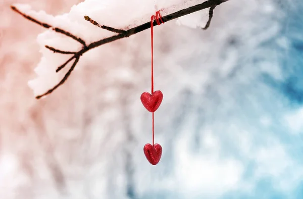冬は雪に覆われた木の枝に赤いハート 幸せなバレンタインの日のお祝い 心愛の概念 — ストック写真