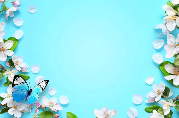 青い背景と蝶の上に花の枝や花弁 春のコンセプト — ストック写真