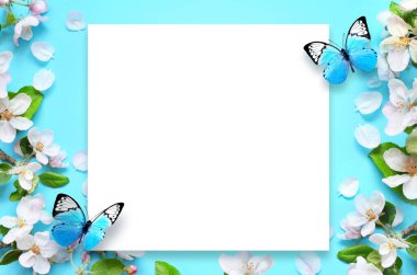 Mavi arka planda çiçek açan dallar ve yapraklar ve kelebekler. Bahar konsepti.