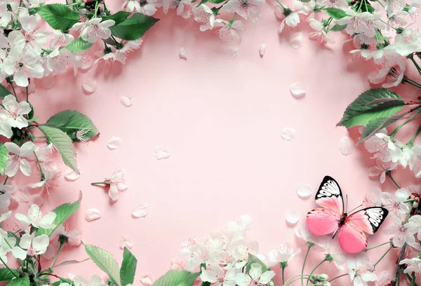 ピンクの背景と蝶に花の枝や花弁 春のコンセプト — ストック写真