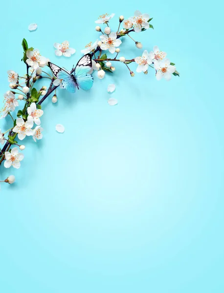 Ramas Florecientes Pétalos Sobre Fondo Azul Mariposa Concepto Primavera — Foto de Stock