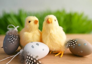 Renkli Paskalya yumurtaları, yeşil çimenli civcivler ve gri arka planlı Paskalya kompozisyonu. Paskalya konsepti.