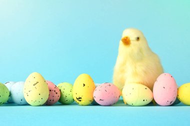 Mavi arka planda Paskalya yumurtaları ve sarı piliç. Minimum konsept. Paskalya kartı.