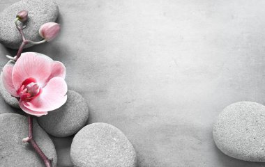 Spa taşlı düz kompozisyon, gri arkaplanda orkide pembe çiçek. Spa konsepti.