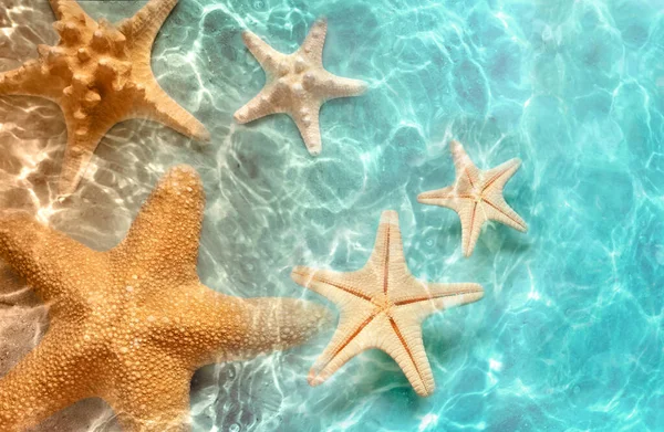Морские Звезды Летнем Пляже Морской Воде Летний Фон Летнее Время — стоковое фото