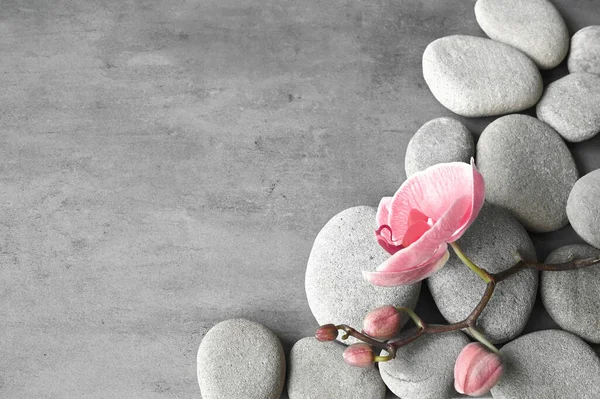 Flache Komposition Mit Wellness Steinen Orchideenrosa Blume Auf Grauem Hintergrund — Stockfoto