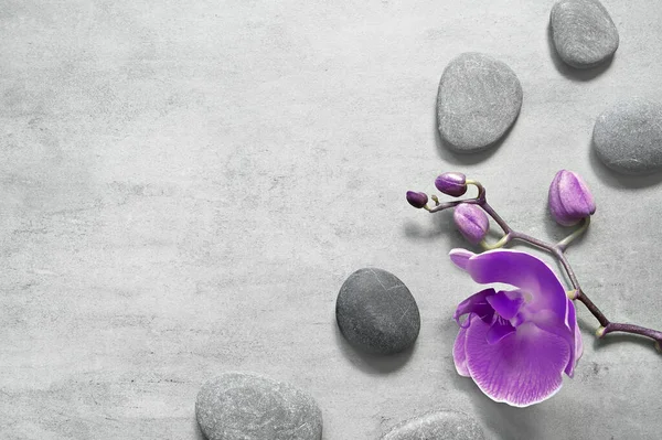 Плоска Композиція Спа Камінцями Фіолетова Квітка Орхідеї Сірому Фоні Концепція — стокове фото