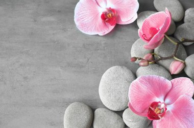 Spa taşlı düz kompozisyon, gri arkaplanda orkide pembe çiçek. Spa konsepti.