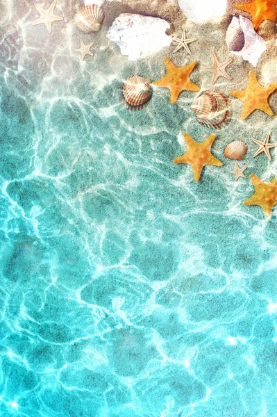 海の水で夏のビーチでヒトデや貝殻 夏の青い海の背景 夏時間 — ストック写真