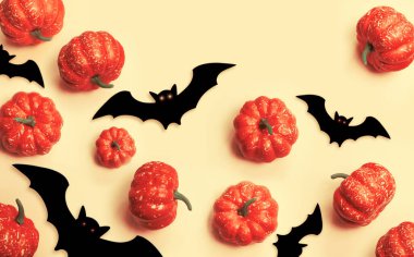 Turuncu Cadılar Bayramı geçmişi. Siyah yarasalar ve turuncu balkabakları. Sonbahar dekorasyonu. Cadılar Bayramı konsepti Üst görünüm.