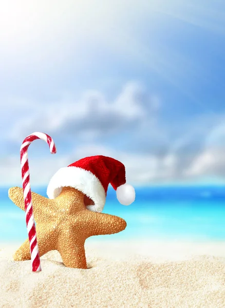 Starfish Santa Claus Hat Candy Summer Beach Merry Christmas — Stok fotoğraf