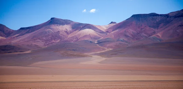 Bolivia Desert — Stock Photo, Image