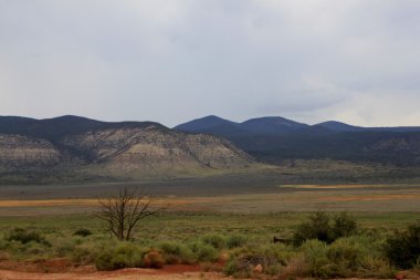 Toro Sila Büyük Kanyon Kuzey jant