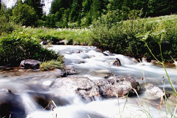 Cascate del toce upadku Zdjęcia Stockowe bez tantiem