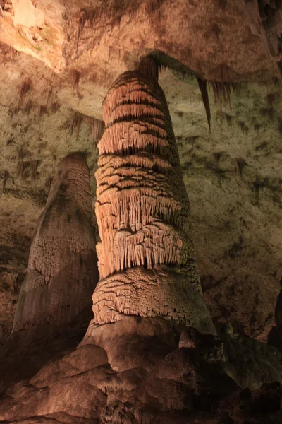Carlsbad Caverns National Park - Nuovo Messico Immagine Stock